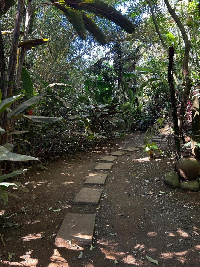 Eco Tambor Tucanes Сasa de vacaciones Tambor (Alajuela)