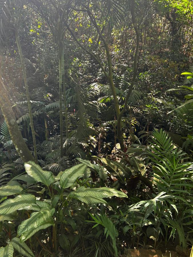 Сasa de vacaciones Eco Tambor Tucanes Tambor (Alajuela)
