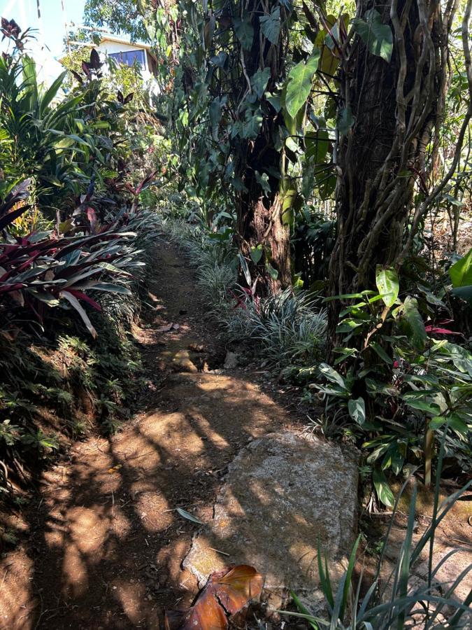 Eco Tambor Tucanes Сasa de vacaciones Tambor (Alajuela)