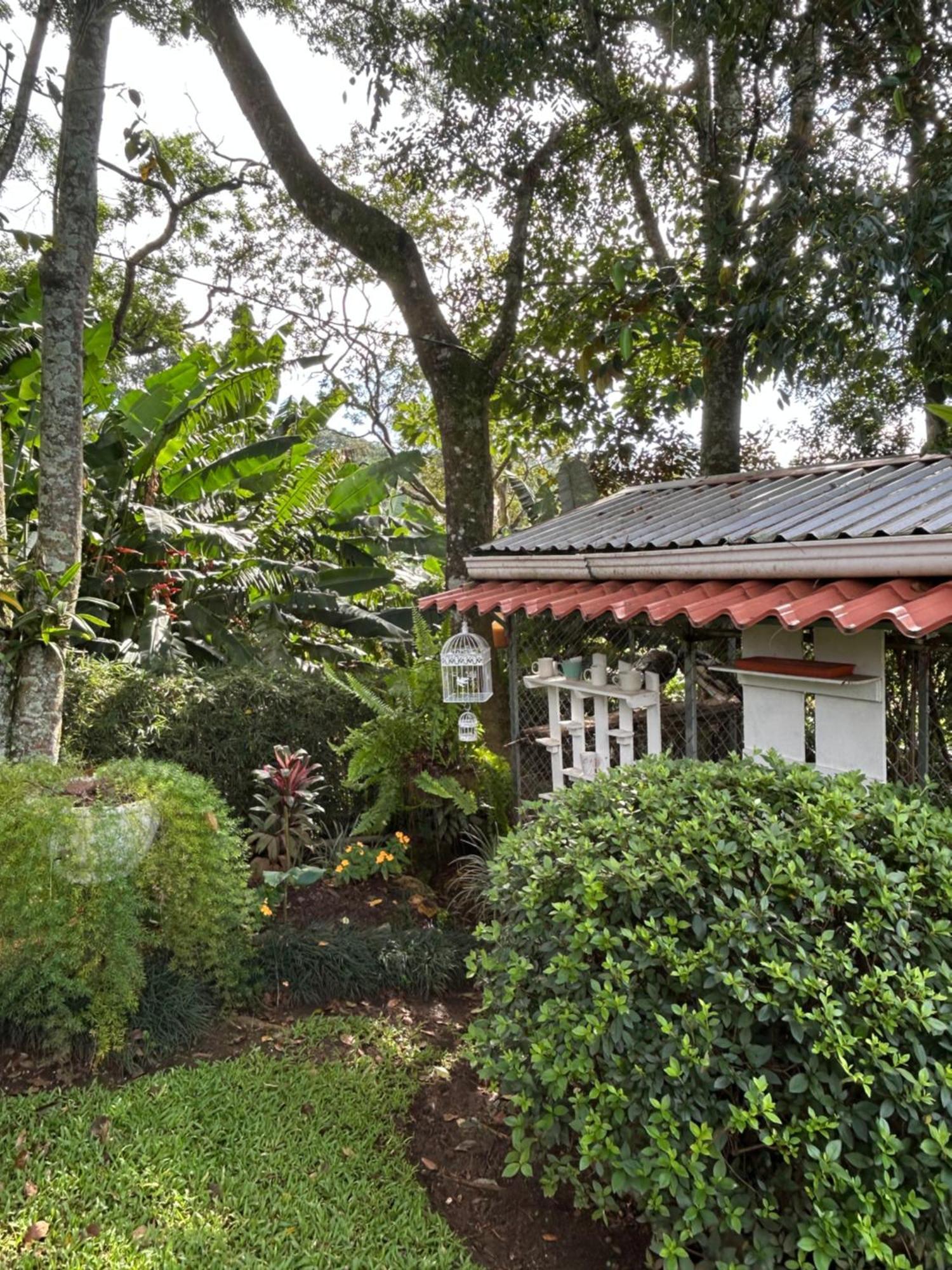 Eco Tambor Tucanes * Tambor (Alajuela)