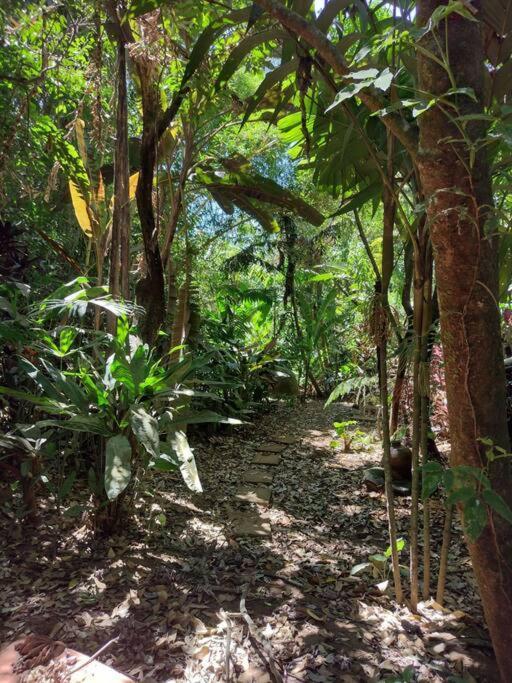 Eco Tambor Tucanes Holiday home *
