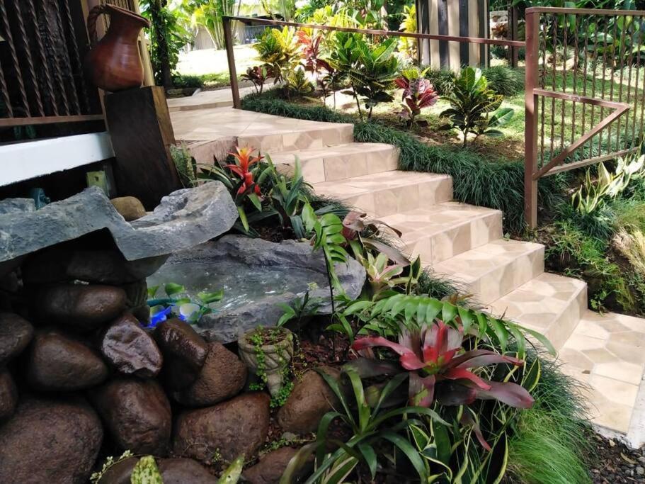 Eco Tambor Tucanes * Tambor (Alajuela)
