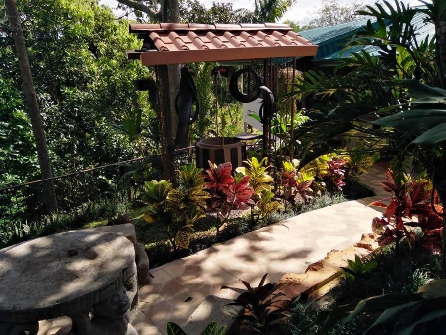 Eco Tambor Tucanes Tambor (Alajuela)