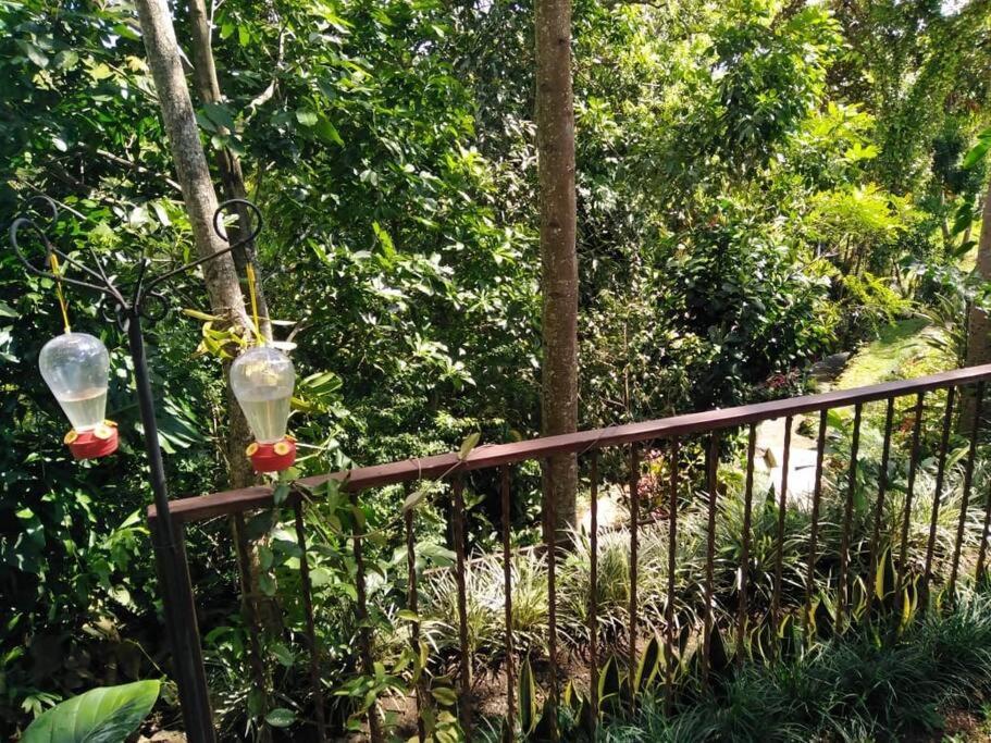 Eco Tambor Tucanes Holiday home Tambor (Alajuela)
