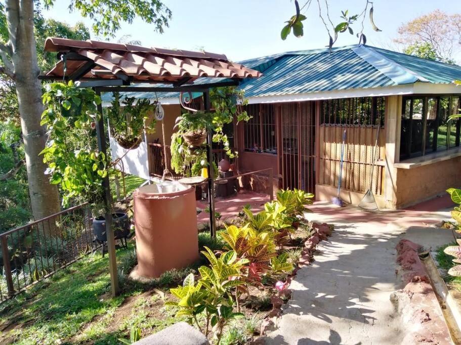 Eco Tambor Tucanes * Tambor (Alajuela)
