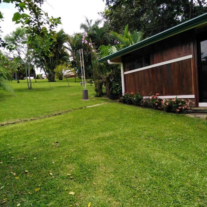 Eco Tambor Tucanes * Tambor (Alajuela)