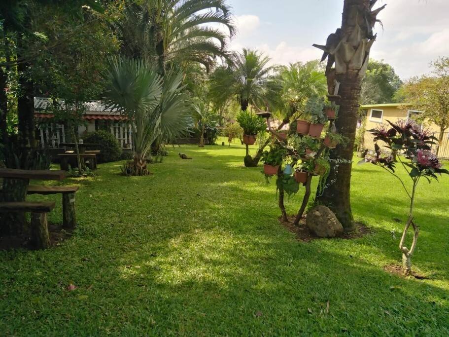 Eco Tambor Tucanes * Tambor (Alajuela)