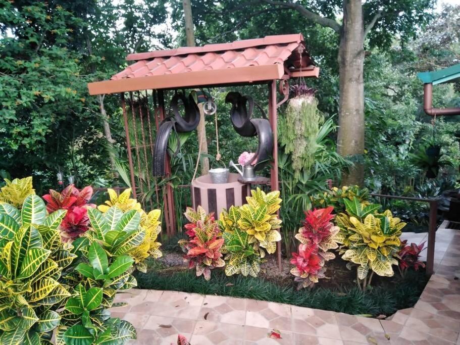Eco Tambor Tucanes