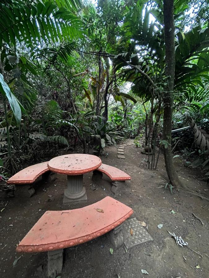 Eco Tambor Tucanes