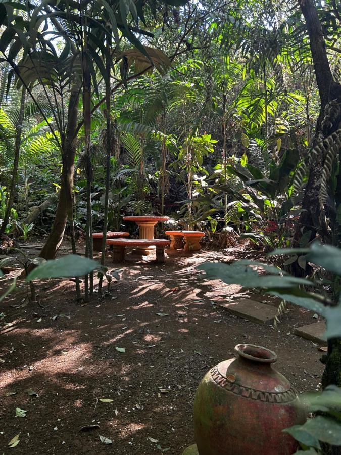 Eco Tambor Tucanes Tambor (Alajuela)