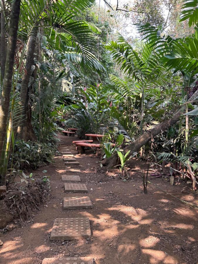 Eco Tambor Tucanes Holiday home