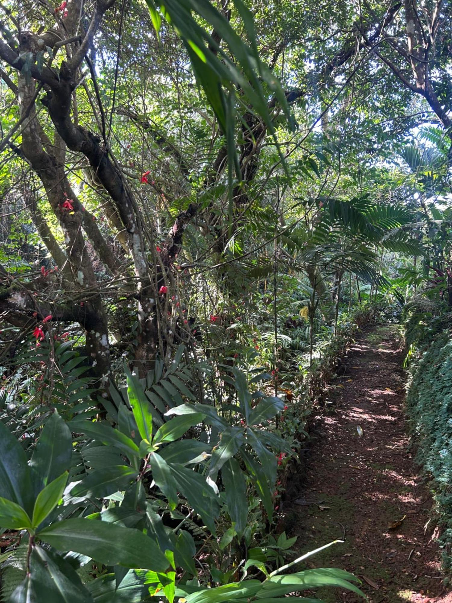 Eco Tambor Tucanes Holiday home Tambor (Alajuela)